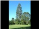 Maleny QLD 4552