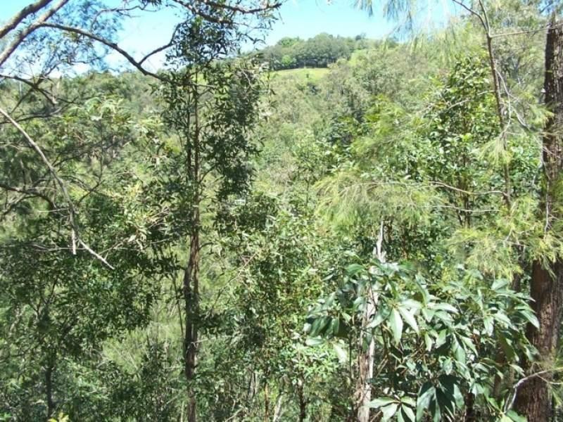 Maleny QLD 4552
