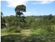 Maleny QLD 4552