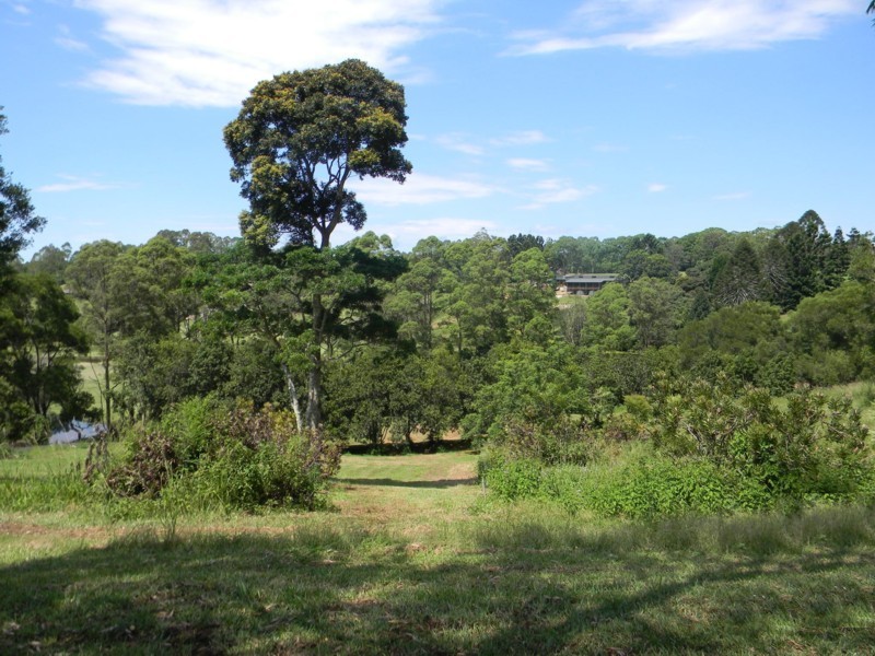 Maleny QLD 4552