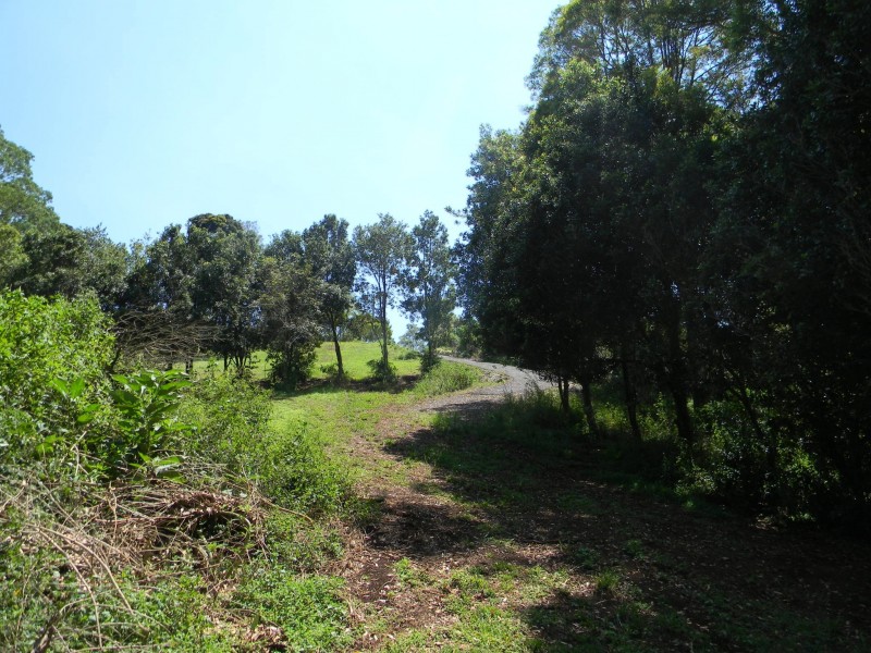 Maleny QLD 4552