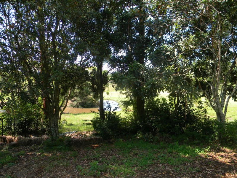 Maleny QLD 4552