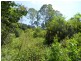 Maleny QLD 4552