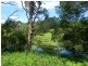 Maleny QLD 4552