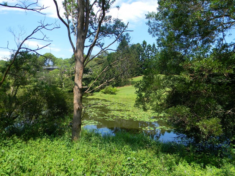 Maleny QLD 4552