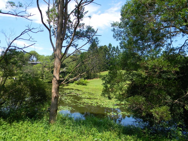 Maleny QLD 4552
