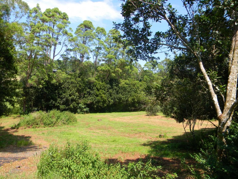 Maleny QLD 4552
