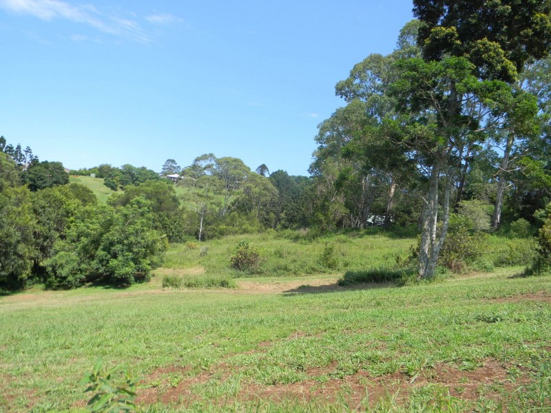 Maleny QLD 4552