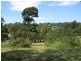 Maleny QLD 4552