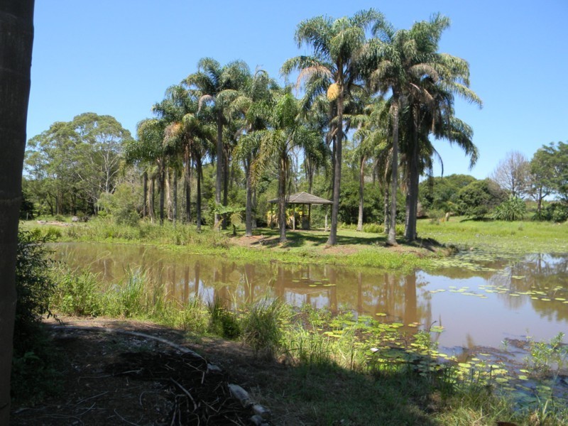 Maleny QLD 4552