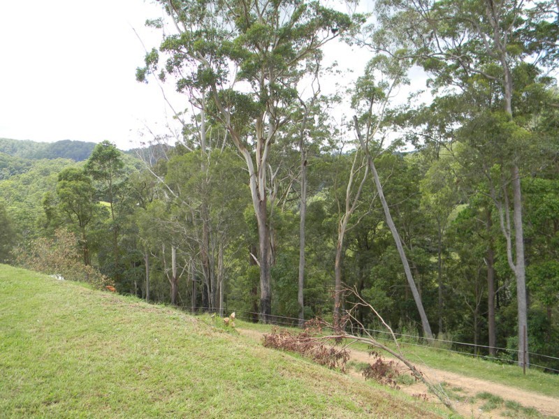 Maleny QLD 4552
