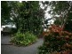 Maleny QLD 4552
