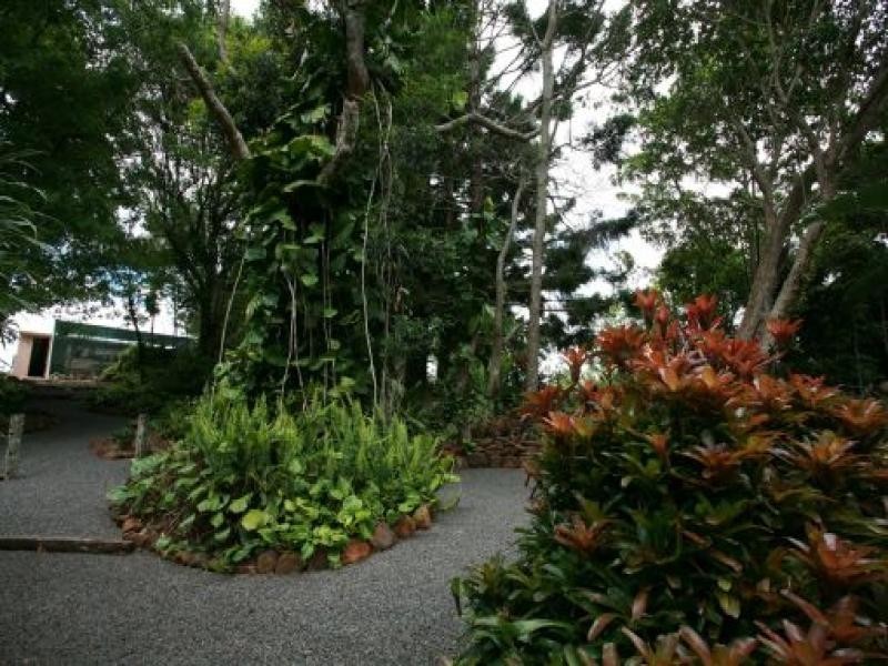 Maleny QLD 4552