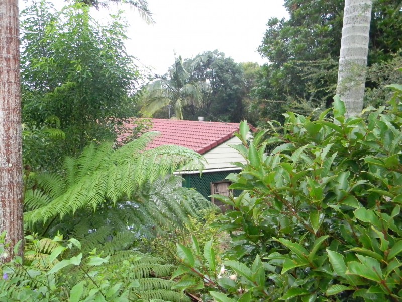 Maleny QLD 4552