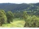 Maleny QLD 4552