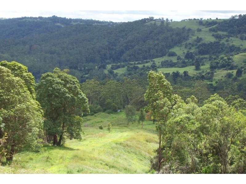 Maleny QLD 4552