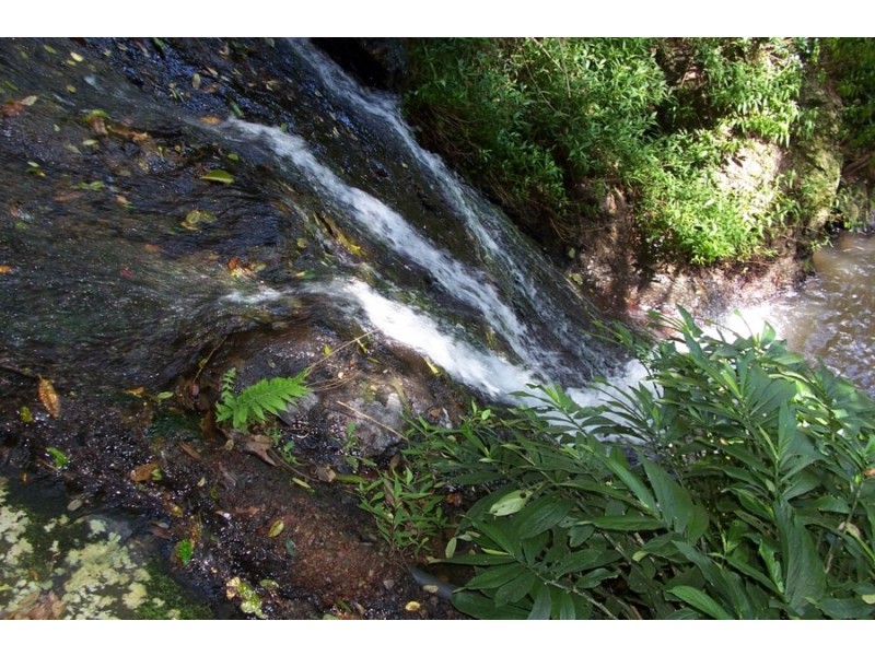 Maleny QLD 4552
