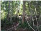 Maleny QLD 4552