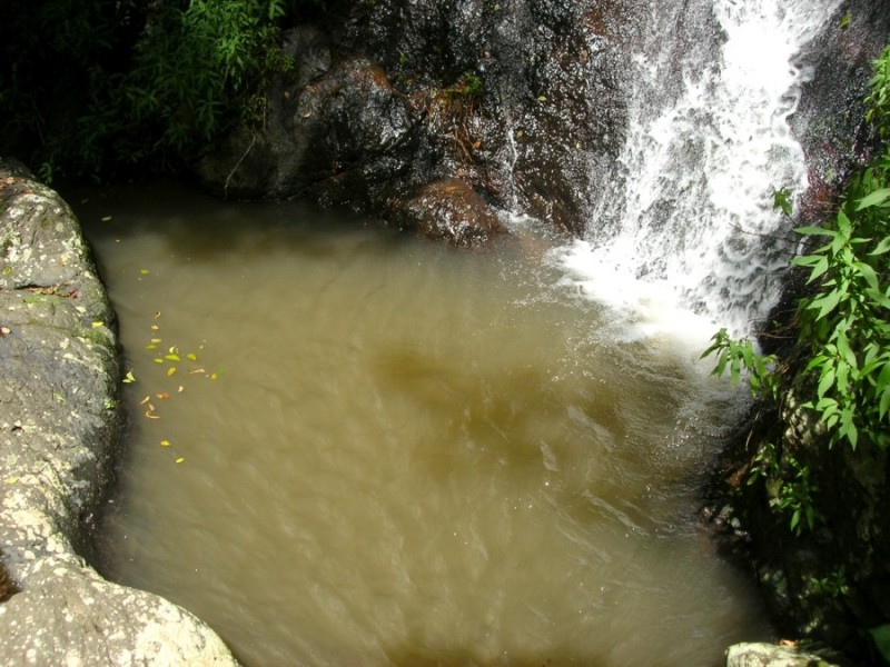 Maleny QLD 4552