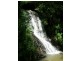 Maleny QLD 4552