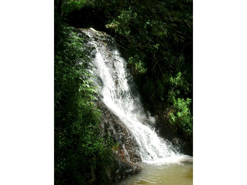Maleny QLD 4552