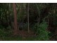 Maleny QLD 4552