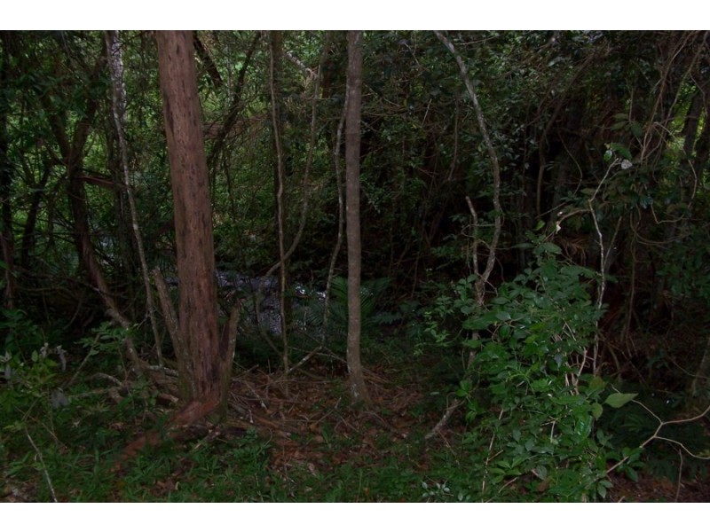 Maleny QLD 4552