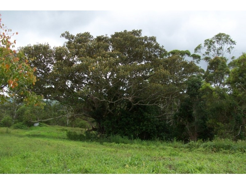 Maleny QLD 4552