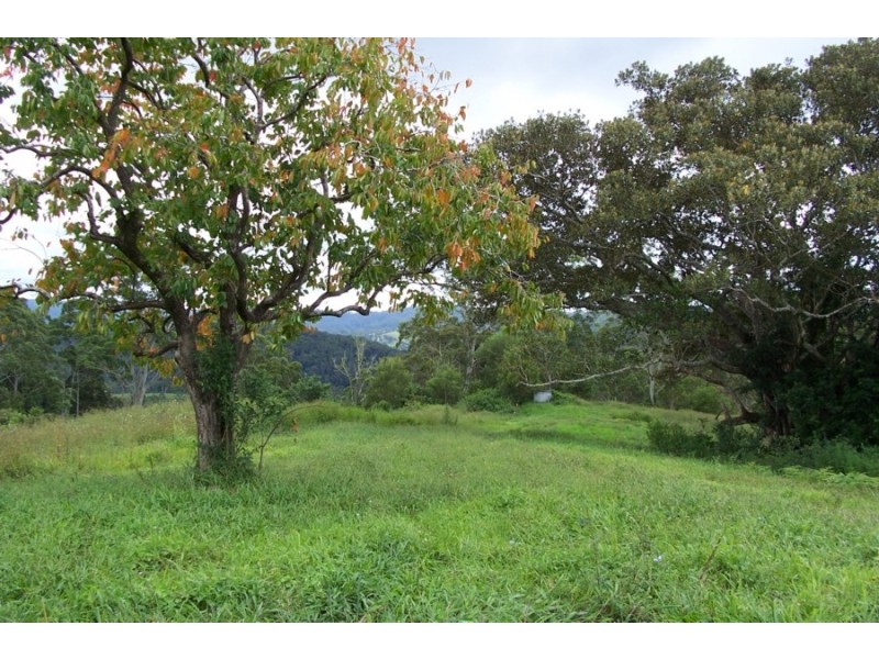 Maleny QLD 4552