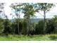 Maleny QLD 4552