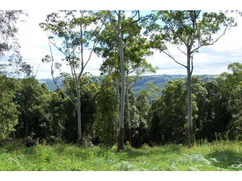 Maleny QLD 4552