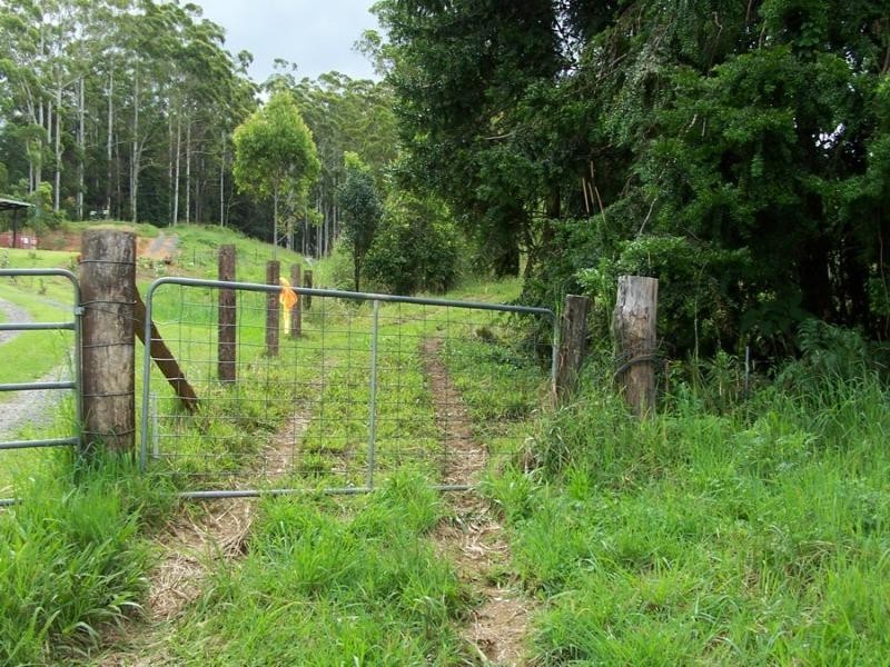 Maleny QLD 4552