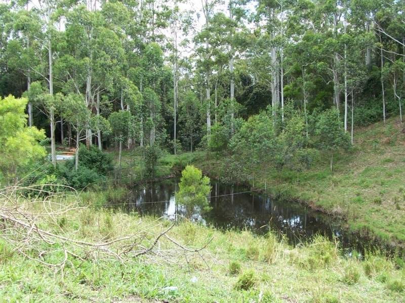 Maleny QLD 4552