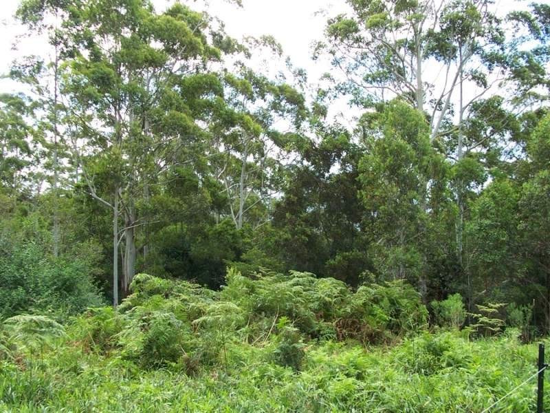 Maleny QLD 4552