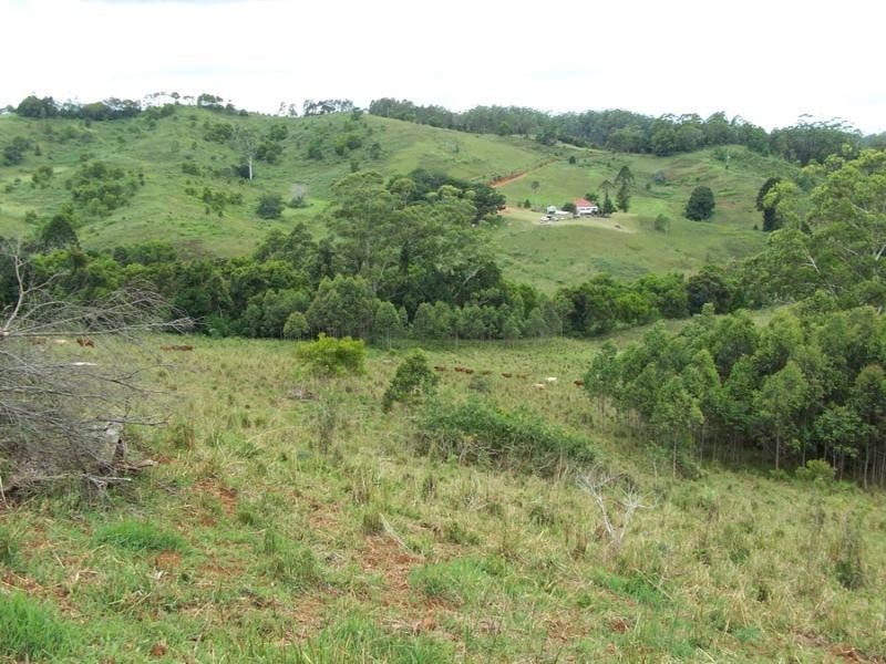Maleny QLD 4552