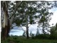 Maleny QLD 4552