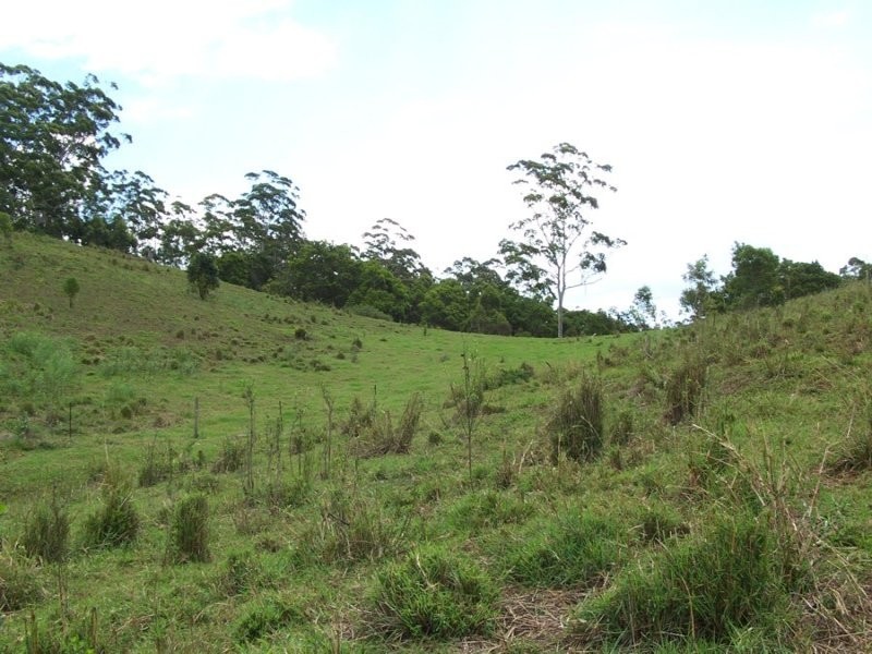 Maleny QLD 4552