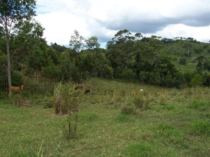 Maleny QLD 4552