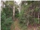 Maleny QLD 4552