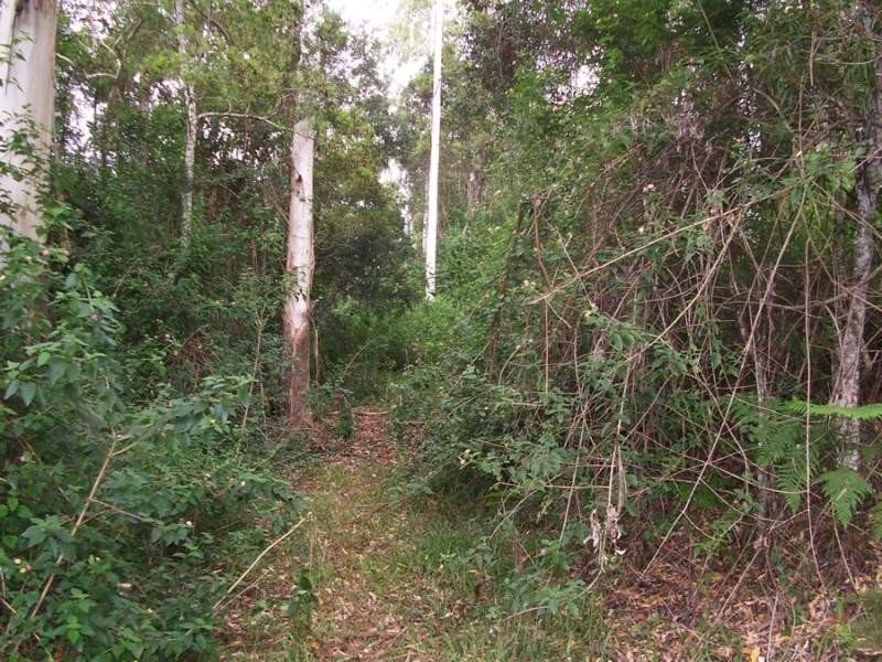 Maleny QLD 4552