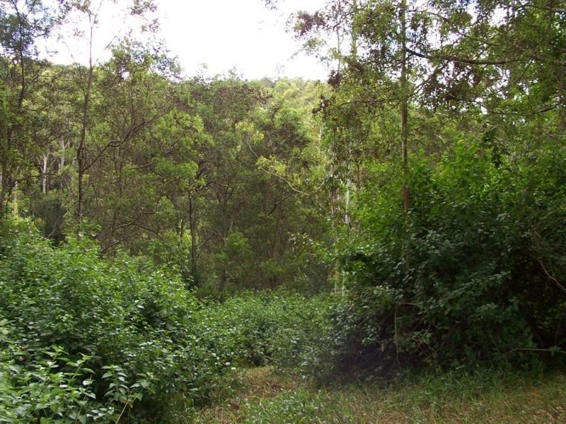 Maleny QLD 4552