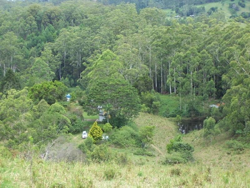 Maleny QLD 4552