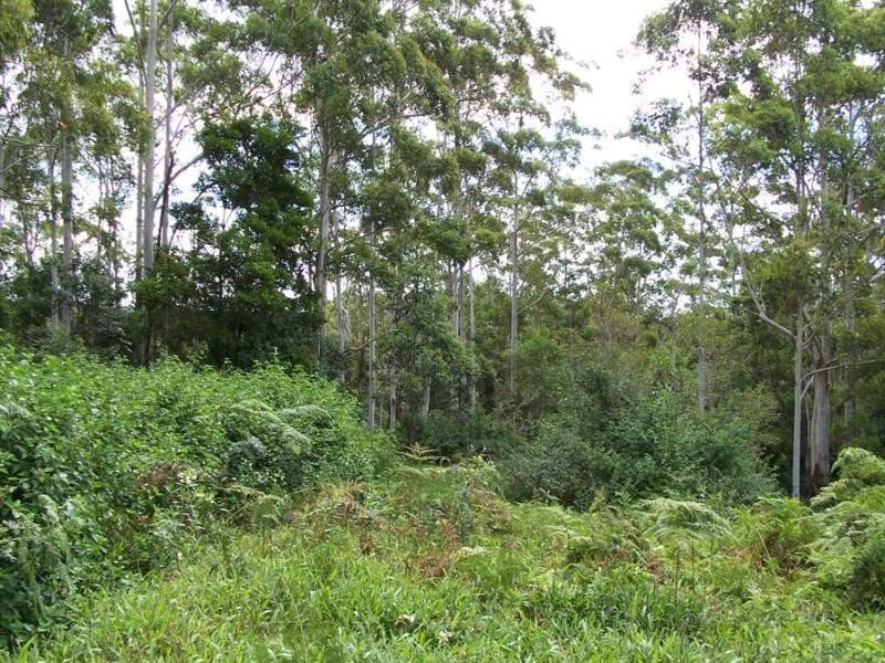 Maleny QLD 4552