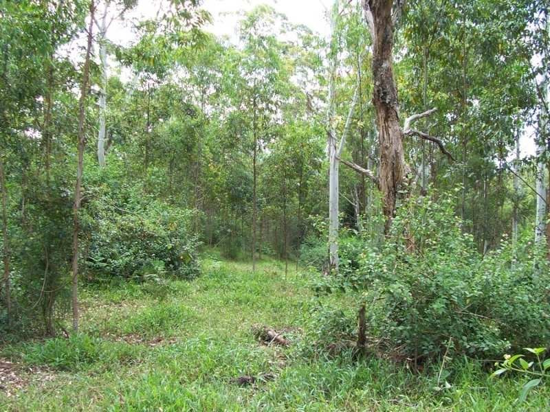 Maleny QLD 4552