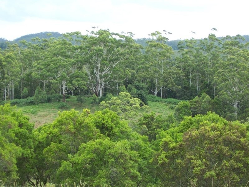Maleny QLD 4552