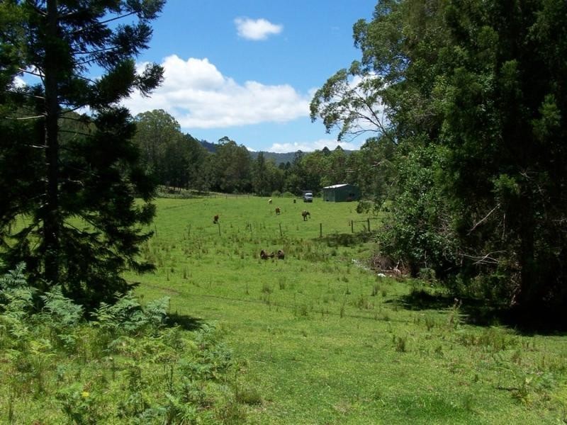 Maleny QLD 4552