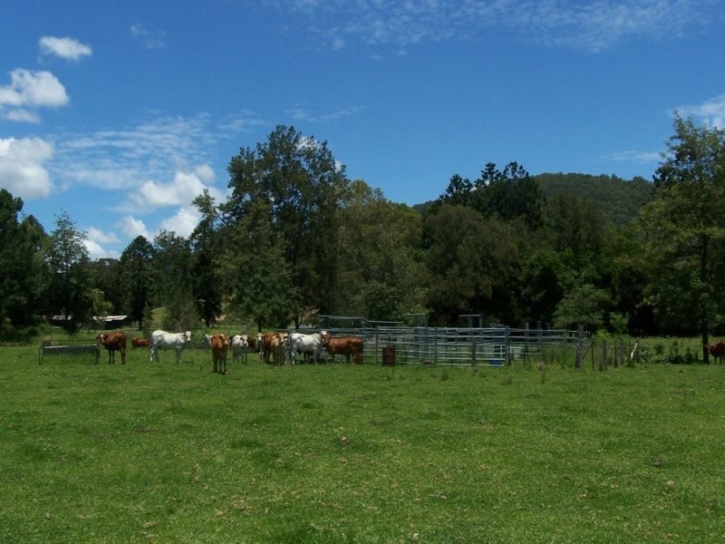 Maleny QLD 4552