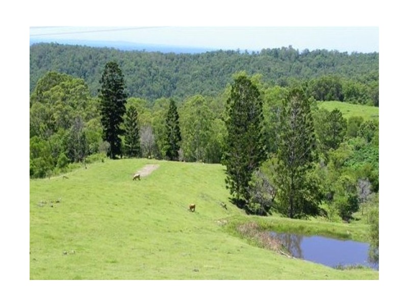 413 Brandenburg Road, Maleny QLD 4552