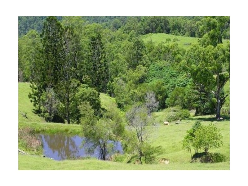 413 Brandenburg Road, Maleny QLD 4552