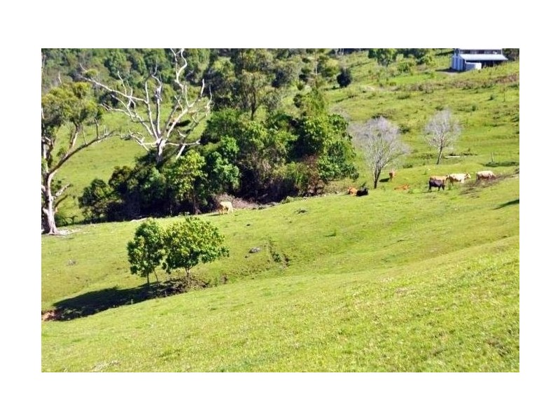 413 Brandenburg Road, Maleny QLD 4552